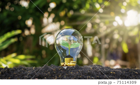 The bulbs are located on the ground with the trees growing with money under the light, concept of energy saving, environmental protection and global warming. 75114309