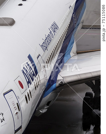 雨天時の羽田空港 航空機 アップ 前方から / Haneda Airport, Tokyo 75115086