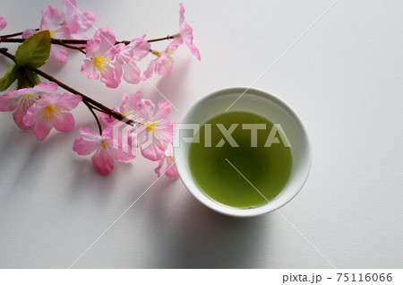 緑茶 桜 白背景 緑茶 桜 白背景 75116066