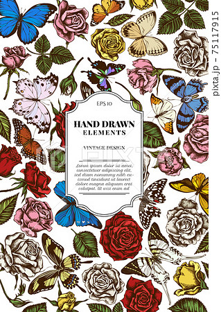 Card design with colored menelaus blue morpho, lemon butterfly, red lacewing, african giant 75117915