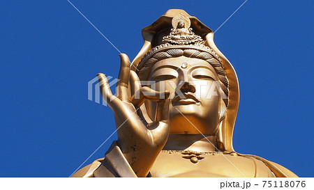 大日如来像の説法印のポーズ 大日如来像の説法印のポーズ 75118076
