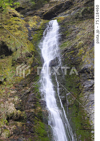 滝頭不動滝（三重県多気郡大台町） 75118460