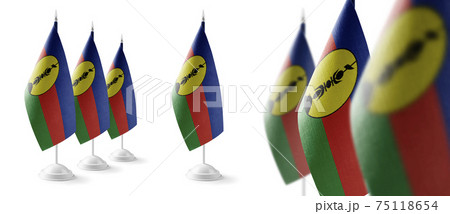 Set of New Caledonia national flags on a white background Set of New Caledonia national flags on a white background 75118654
