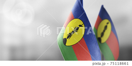 Patch of the national flag of the New Caledonia on a white t-shirt 75118661