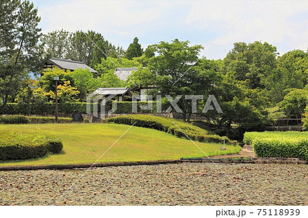 木曽三川公園センター・26（岐阜県海津市） 75118939