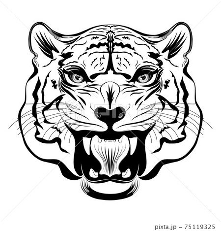 Tiger Line Art Stock Vector by ©koratmember 32748911, bengal tiger line 