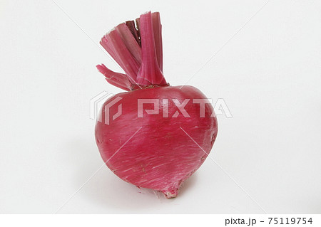 赤かぶ 赤かぶ 75119754