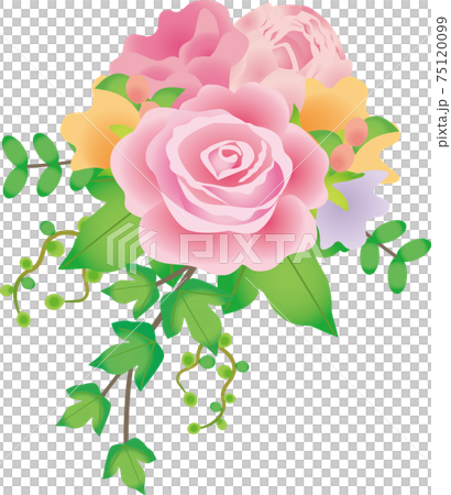 玫瑰插花 玫瑰插花 75120099