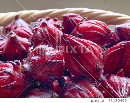 竹ざるに入った生のローゼル 竹ざるに入った生のローゼル 75120496