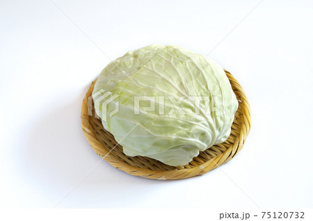 丸盆ざるに乗っているキャベツ 75120732