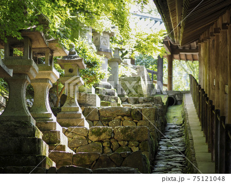 奈良長谷寺の石灯籠と登廊 奈良長谷寺の石灯籠と登廊 75121048