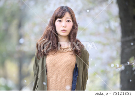 満開の桜 桜の背景 女性ポートレート 満開の桜 桜の背景 女性ポートレート 75121855