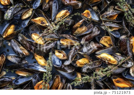 Italian blue mussel with farmhouse bread  75121973