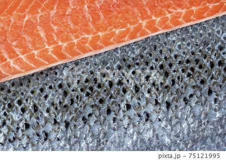 Fresh raw salmon fillet with silver fish skinの写真素材 [75121995] - PIXTA