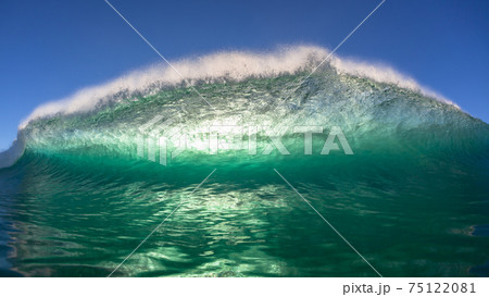 Ocean Wave Swimming Encounter Backlighting 75122081