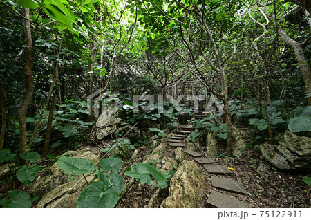 大石林山より 75122911