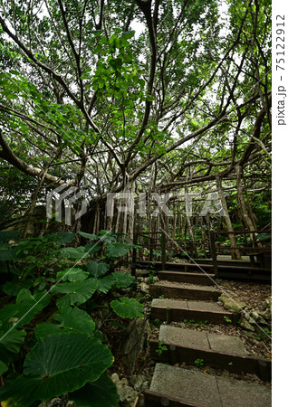 大石林山より 大石林山より 75122912