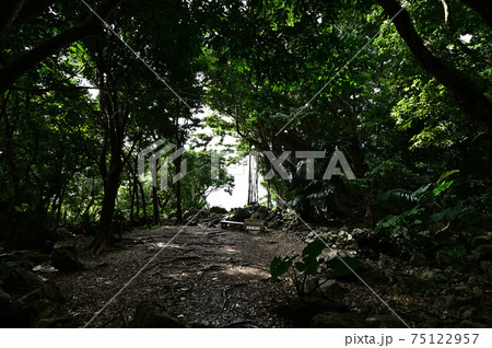 大石林山より 75122957