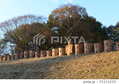 中二子古墳の南側に並べられている埴輪を撮影した風景 中二子古墳の南側に並べられている埴輪を撮影した風景 75123255