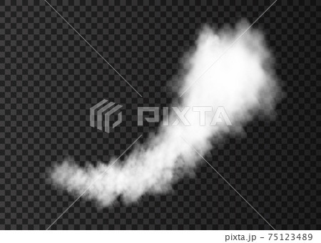 Smoke from space rocket launch  isolated on transparent background. 75123489