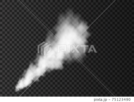 White smoke burst isolated on transparent background. White smoke burst isolated on transparent background. 75123490