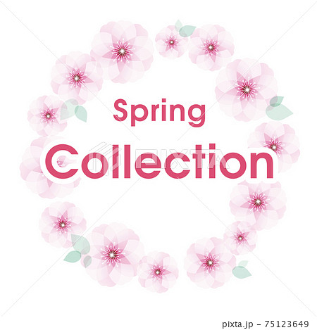フレーム Spring Collection 75123649