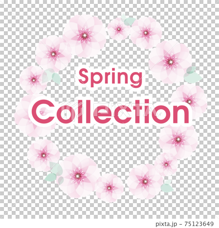 フレーム Spring Collection 75123649