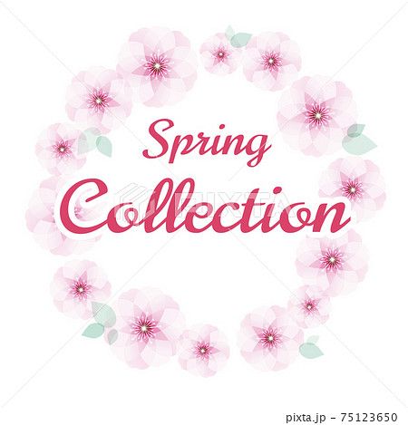 フレーム Spring Collection 75123650