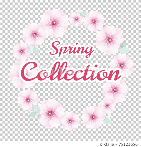フレーム Spring Collection 75123650