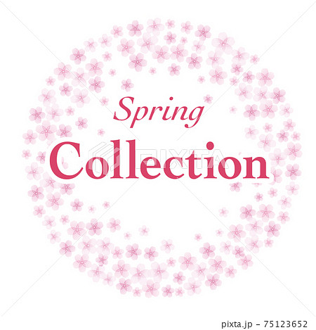 フレーム Spring Collection 75123652