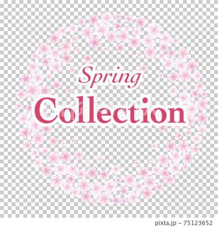 フレーム Spring Collection 75123652