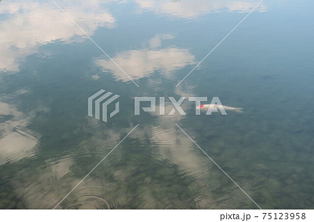 空を泳ぐ鯉 空を泳ぐ鯉 75123958