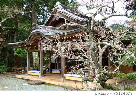 洞慶院 烏枢沙摩明王堂 洞慶院 烏枢沙摩明王堂 75124075