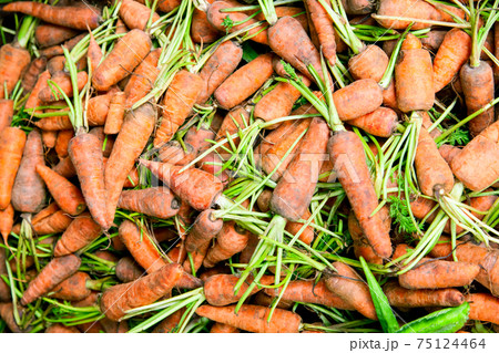Carrots 75124464