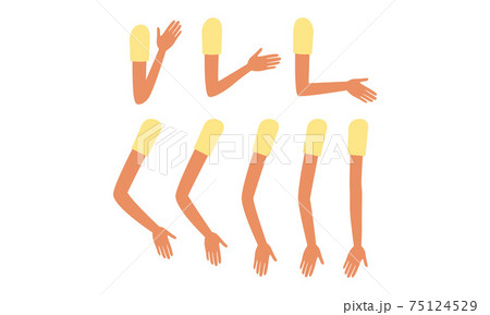 Female Arms in Various Poses Set, Girl Character Creation Details Cartoon Vector Illustration 75124529