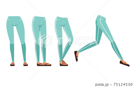 Female Legs in Jeans and Shoes in Various Poses Set, Girl Character Creation Detail Cartoon Vector Illustration Female Legs in Jeans and Shoes in Various Poses Set, Girl Character Creation Detail Cartoon Vector Illustration 75124530