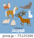 Animals of Iceland in flat modern style design. 75125266