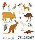 Big set of birds and animals of Australia 75125267