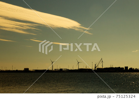 Windmills on island Mussalo in Baltic Sea at sunset, Kotka, Finland 75125324