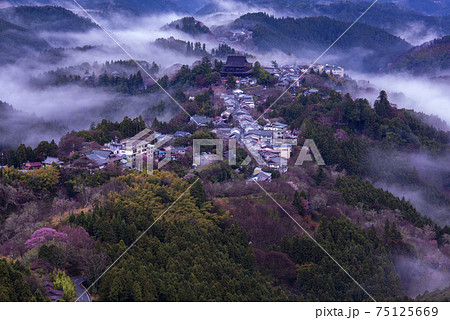 雲海と早朝の吉野山 雲海と早朝の吉野山 75125669