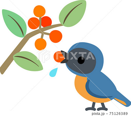 木の実を食べる小鳥 75126389