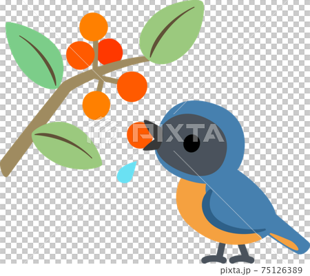 木の実を食べる小鳥 75126389