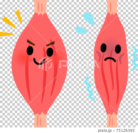 Thick and thin muscle characters - Stock Illustration [75126393] - PIXTA