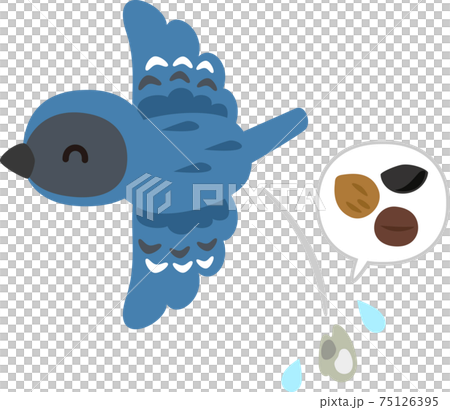 種が入ったフンを落とす小鳥 種が入ったフンを落とす小鳥 75126395