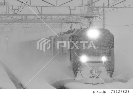 猛吹雪の上越線を走る貨物列車 猛吹雪の上越線を走る貨物列車 75127323