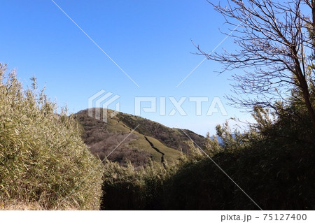 矢倉峠から見た明神ケ岳 75127400