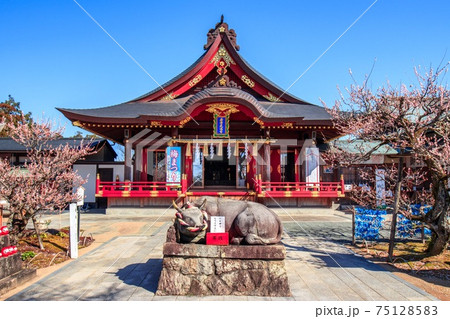 岡崎　岩津天神の境内 75128583