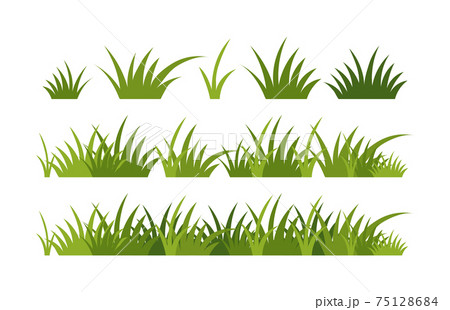 Green vector grass, horizontal border. A set of elements for design, green meadow, spring greenery, plants for a summer meadow. Illustration isolated on white background. 75128684