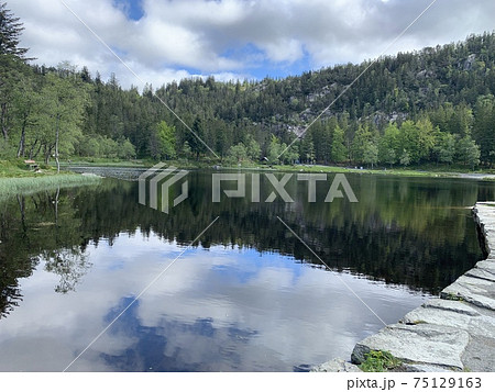 ノルウェーのベルゲンの湖の周りを散歩する休暇の朝 75129163