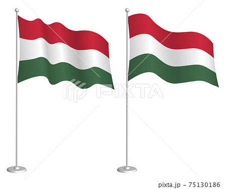 flag of hungary on flagpole waving in the wind. Holiday design element. Checkpoint for map symbols. Isolated vector on white background